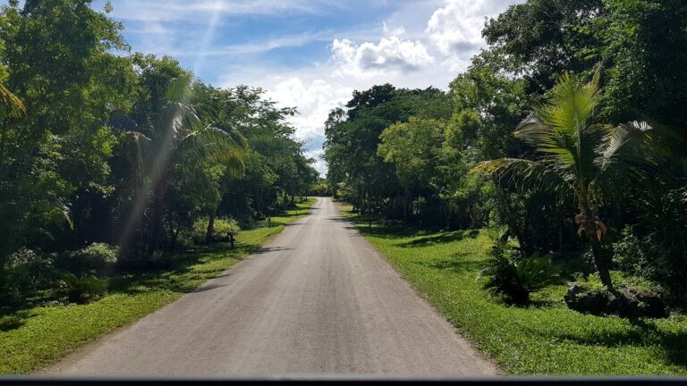 PLAN ESTRATÉGICO DE TURISMO PARA LA ISLA DE COZUMEL